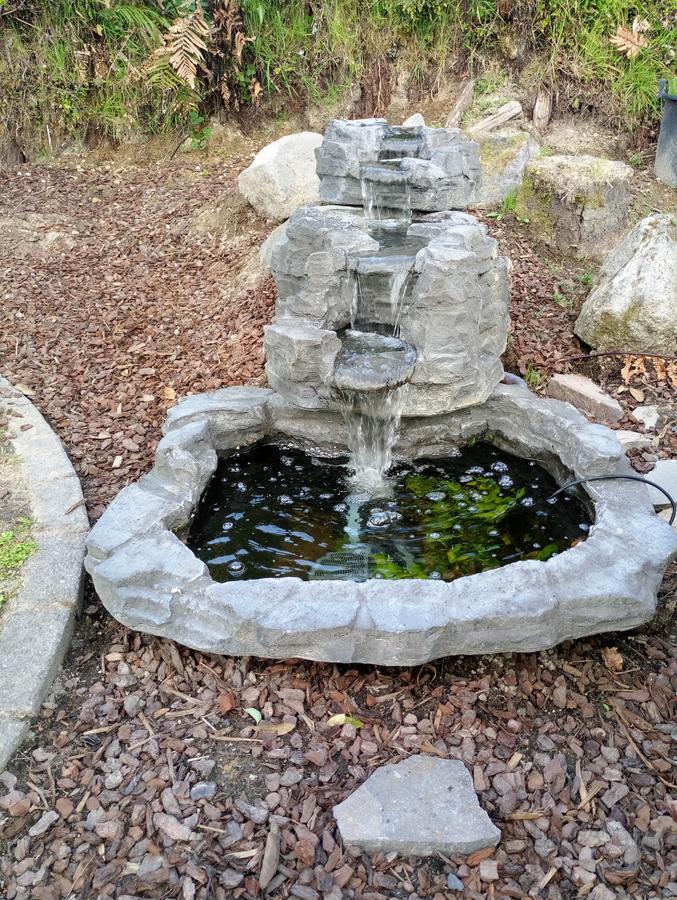 רוטורואה Foodora Lake View Bed & Breakfast מראה חיצוני תמונה